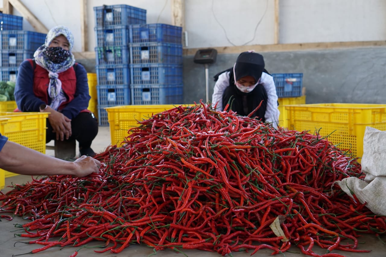 Pada Juli 2021 terdapat produksi sebanyak 163.293 ton dengan kebutuhan sebesar 158.855 ton.