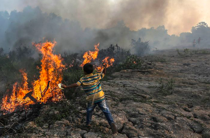 Luas Lahan Terbakar Semester I 2021 Meningkat 38,4%