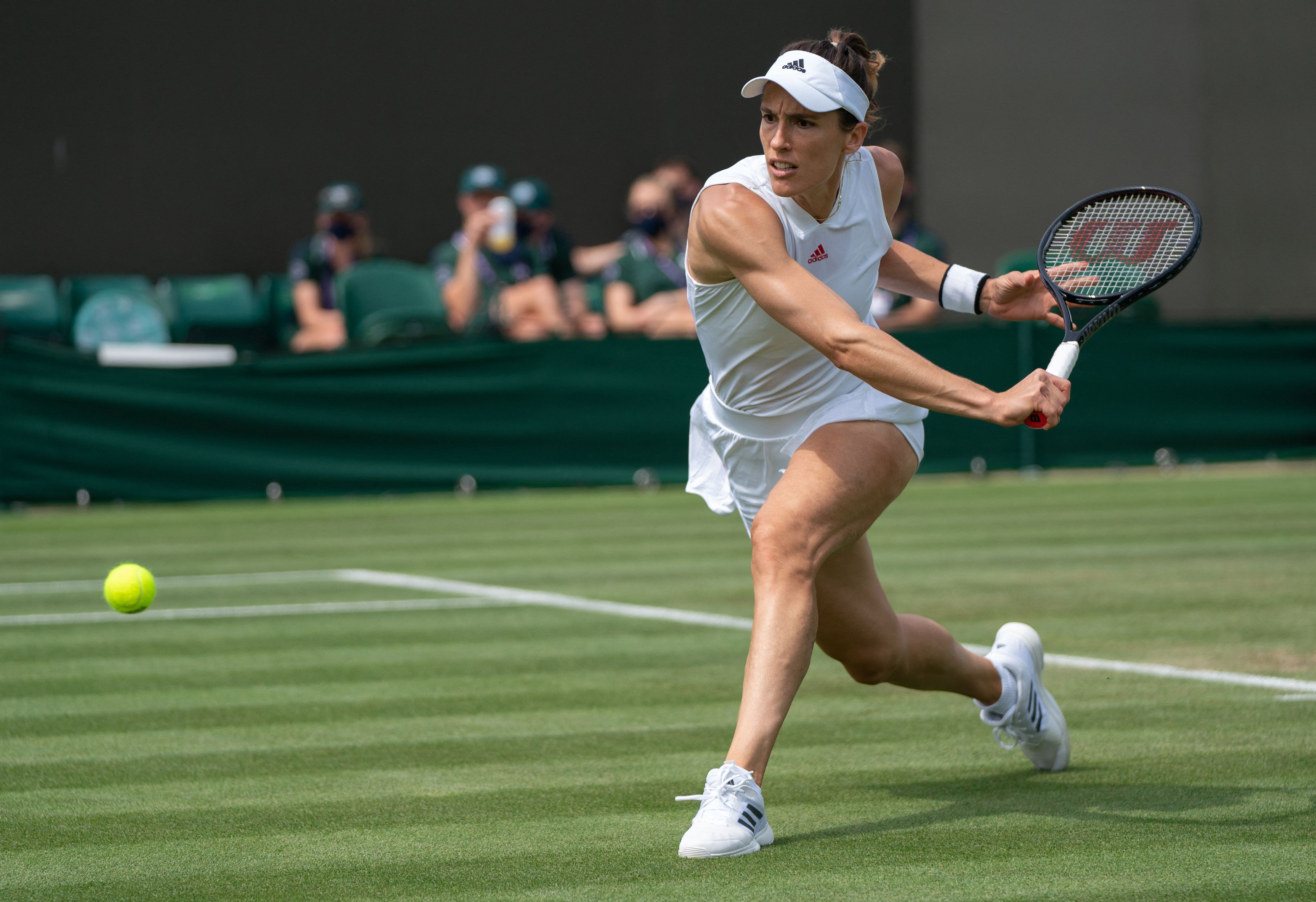 Petenis Jerman Andrea Petkovic