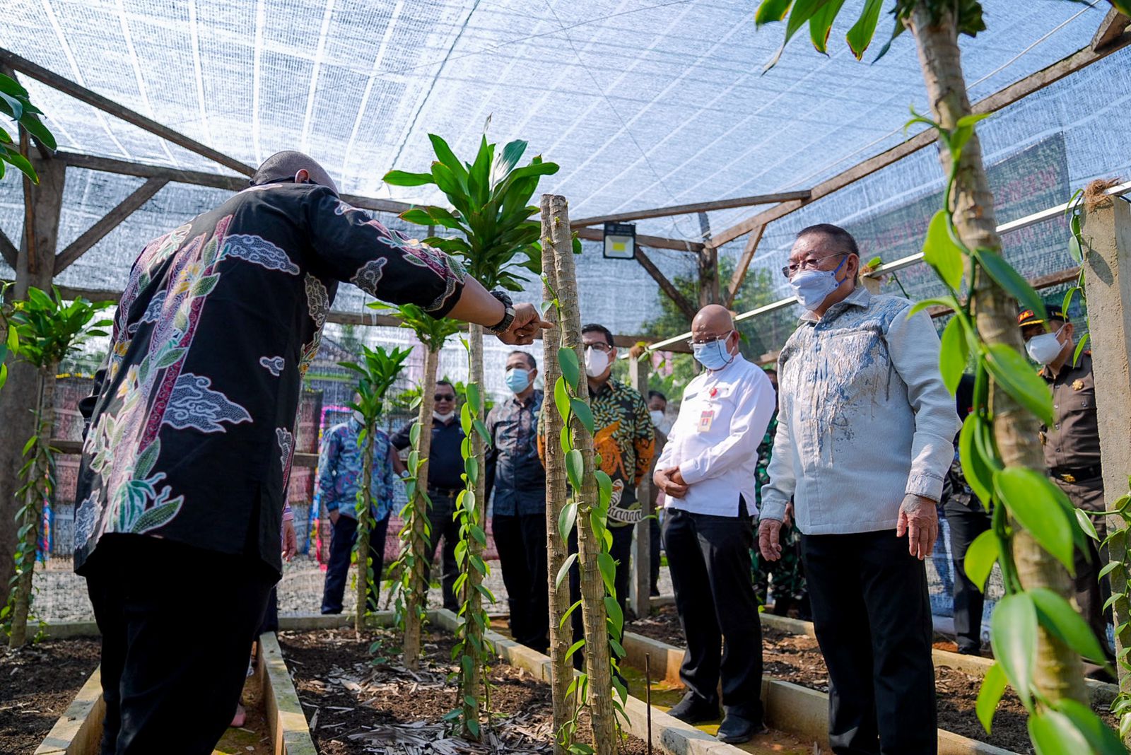 Penjelasan pertumbuhan tanaman Vanili kepada ASDA EKBANG Prop Banten dan ketua DPRD Banten dan Bupati Pandeglang oleh Preskom JHL Group