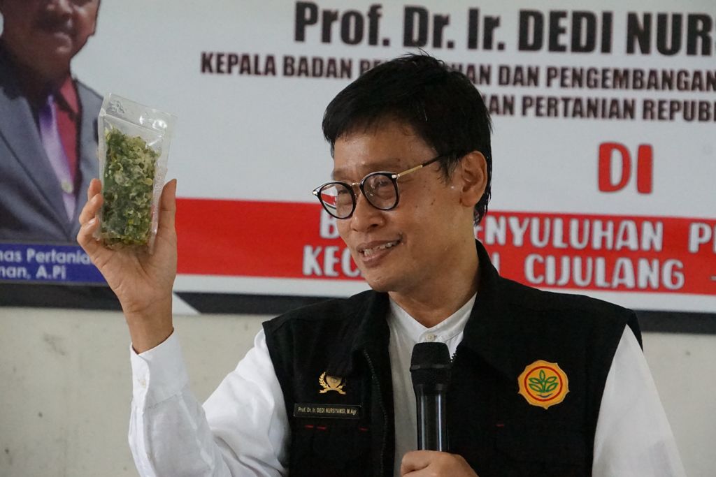 Kepala BPPSDMP Kementan, Dedi Nursyamsi