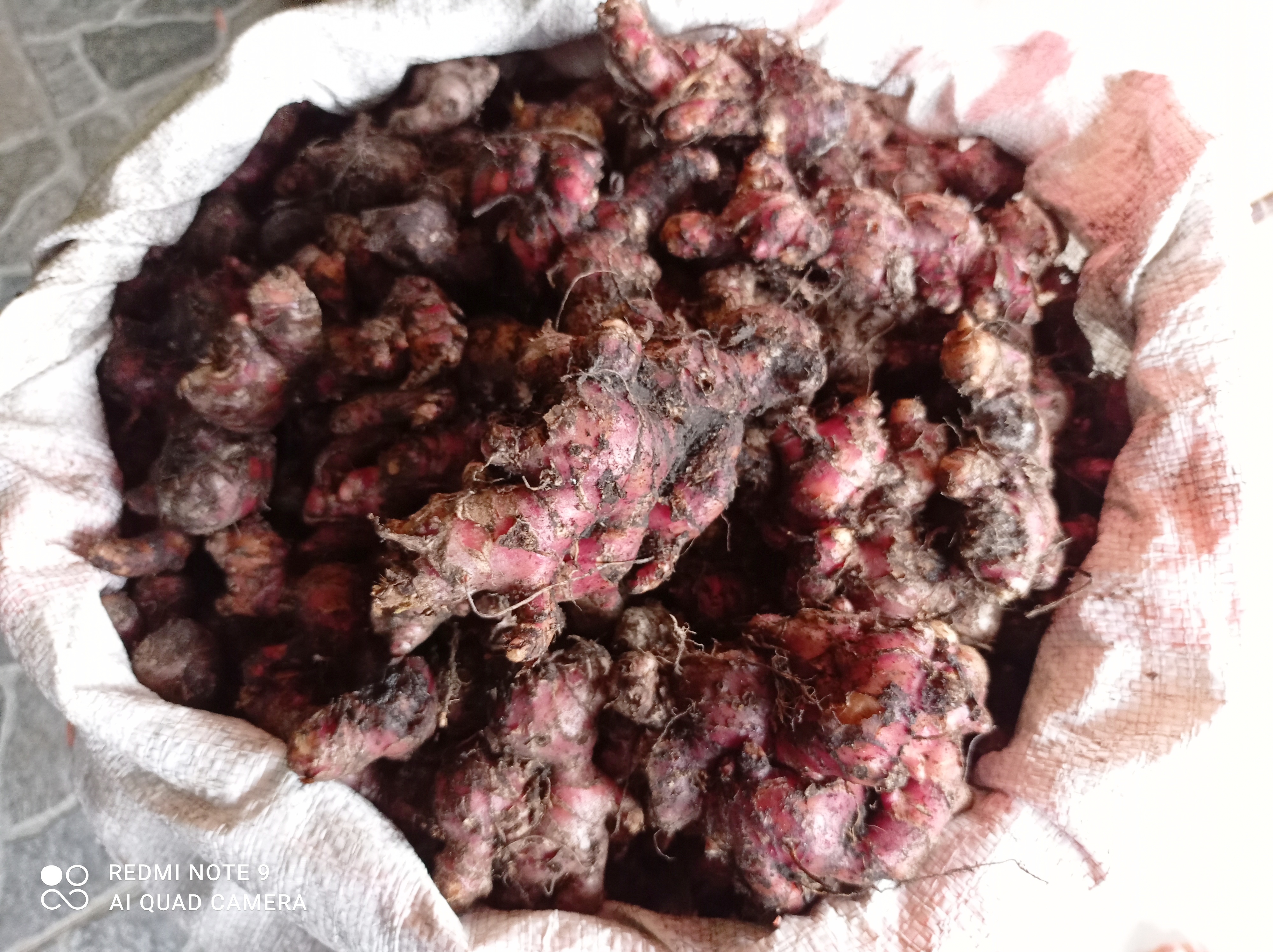 Akibat PPKM, stok jahe melimpah di pasar-pasar di Kota Pematangsiantar dan menyebabkan harganya anjlok.