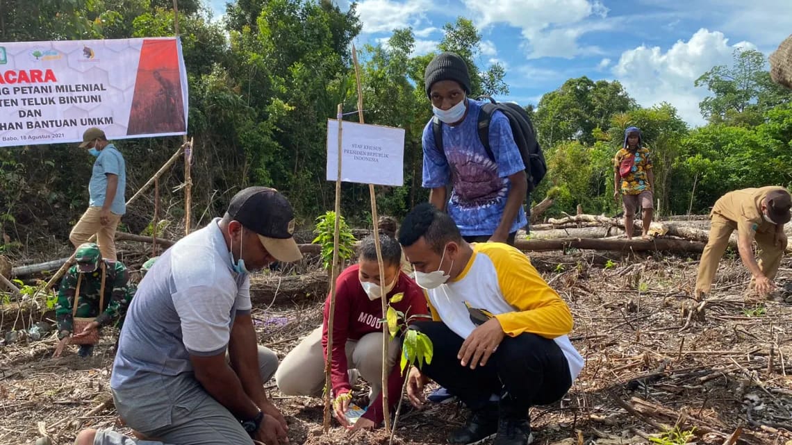 Sejumlah pemuda Papua tengah menanam pohon.