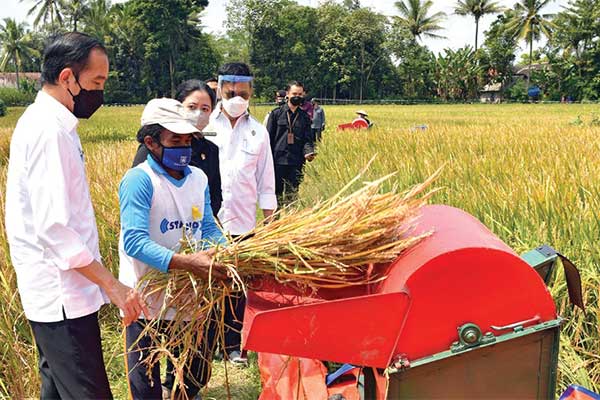 Pemerintah Sukses Jaga Ketersediaan Pangan