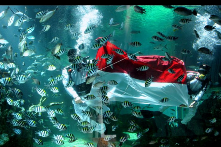 Sejumlah penyelam yang merupakan petugas di Koral Restaurant melakukan pengibaran bendera Merah Putih di dalam air akuarium.