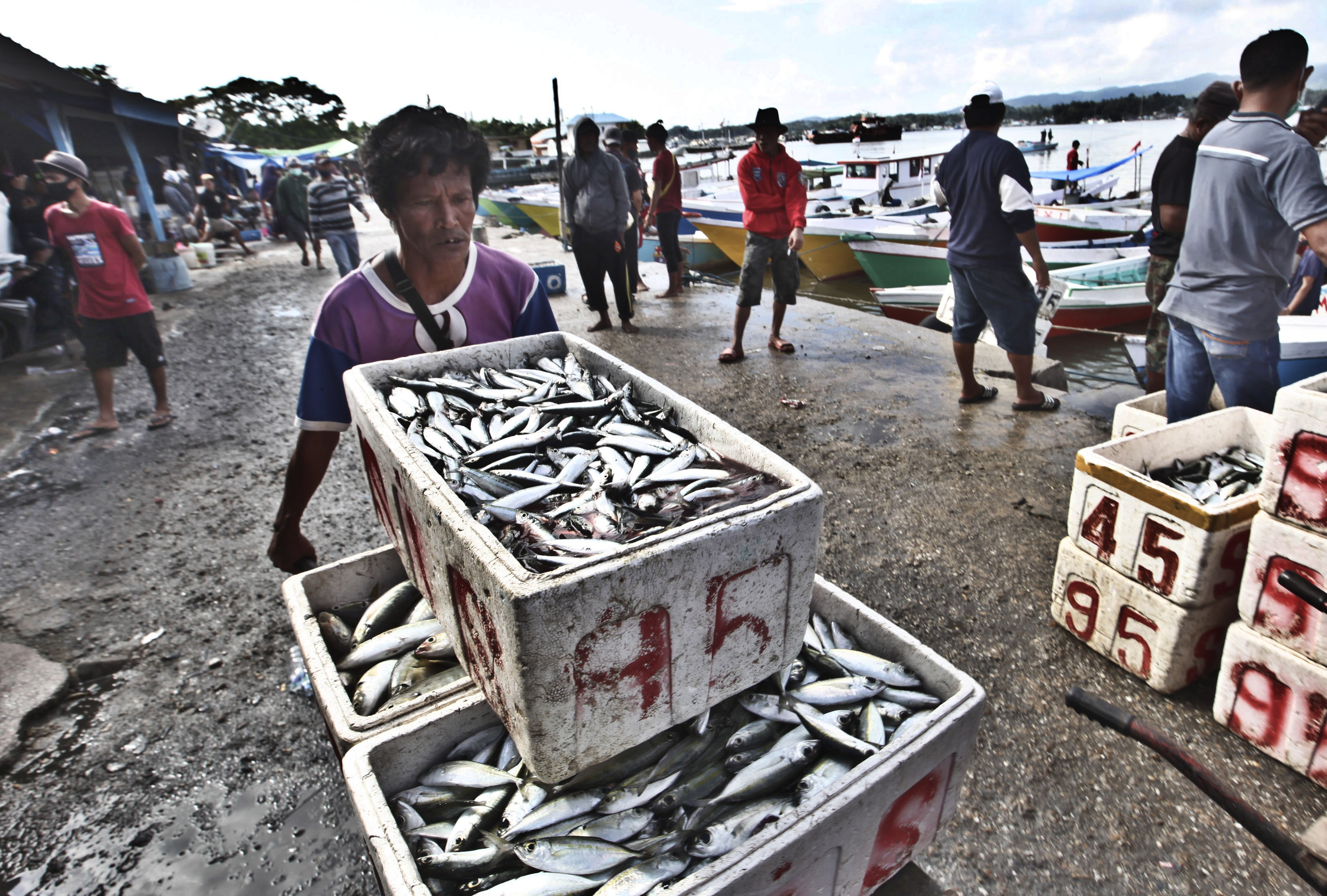 Nelayan membawa ikan hasil tangkapan ke pasar ikan