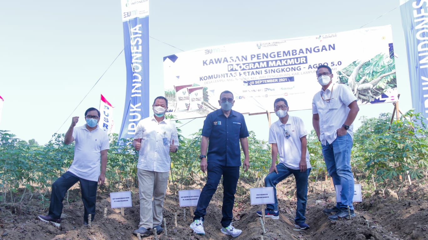 Staf Khusus III Menteri BUMN, Arya Sinulingga, saat meninjau Program Makmur budidaya singkong di Desa Lempuyang Bandar, Kecamatan Way Pangub