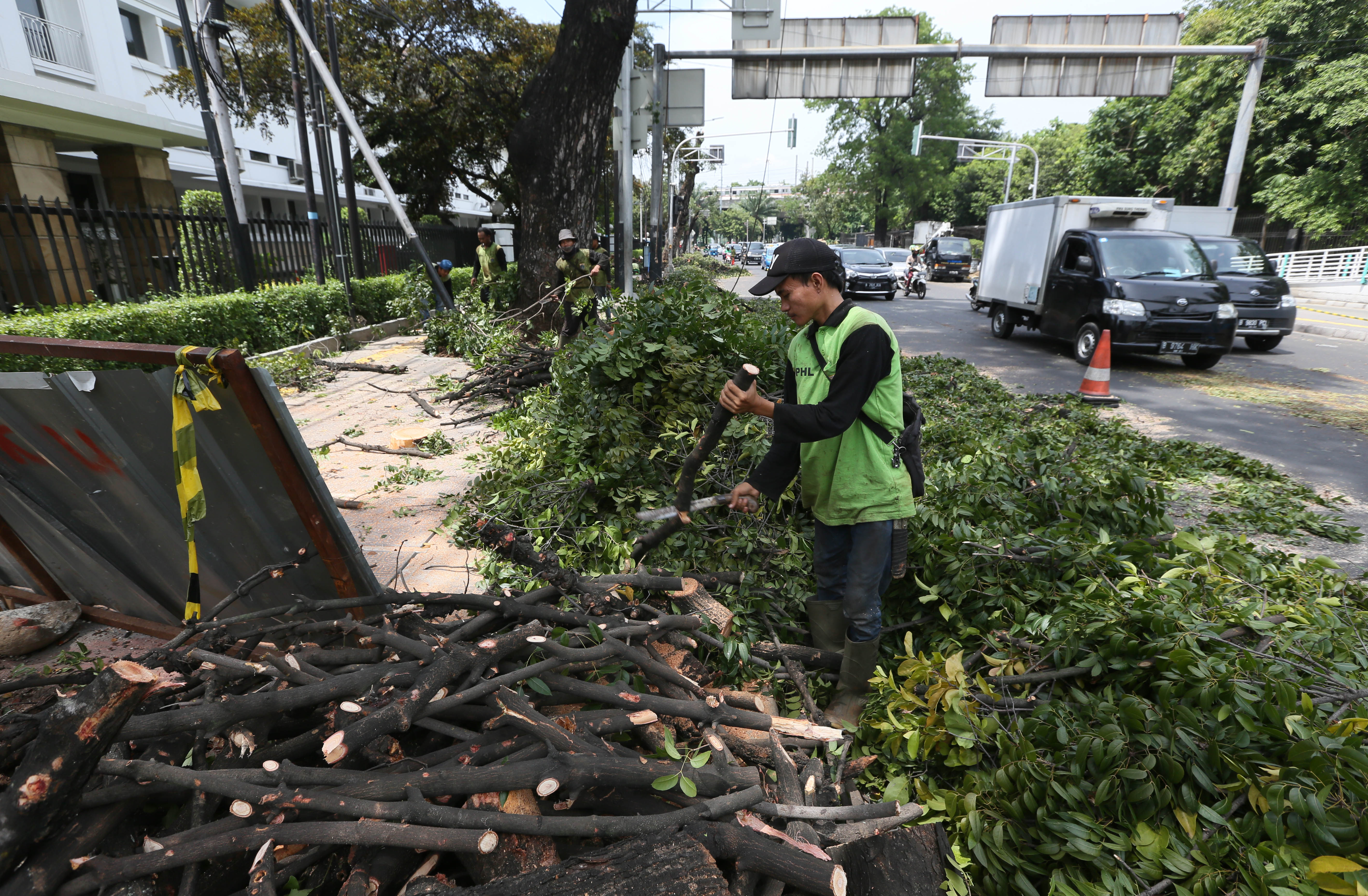 Ilustrasi: Petugas memangkas pohon di tepi jalan kawasan Lapangan Banteng, Jakarta Pusat,