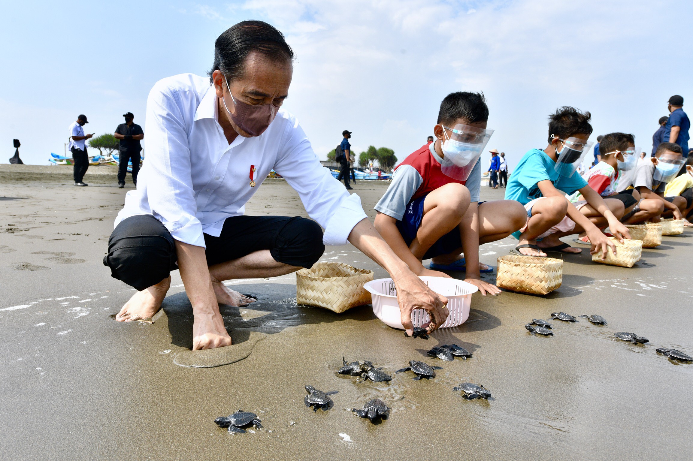 Presiden Joko Widodo melepas tukik di Pantai Kemiren, Cilacap, Jawa Tengah