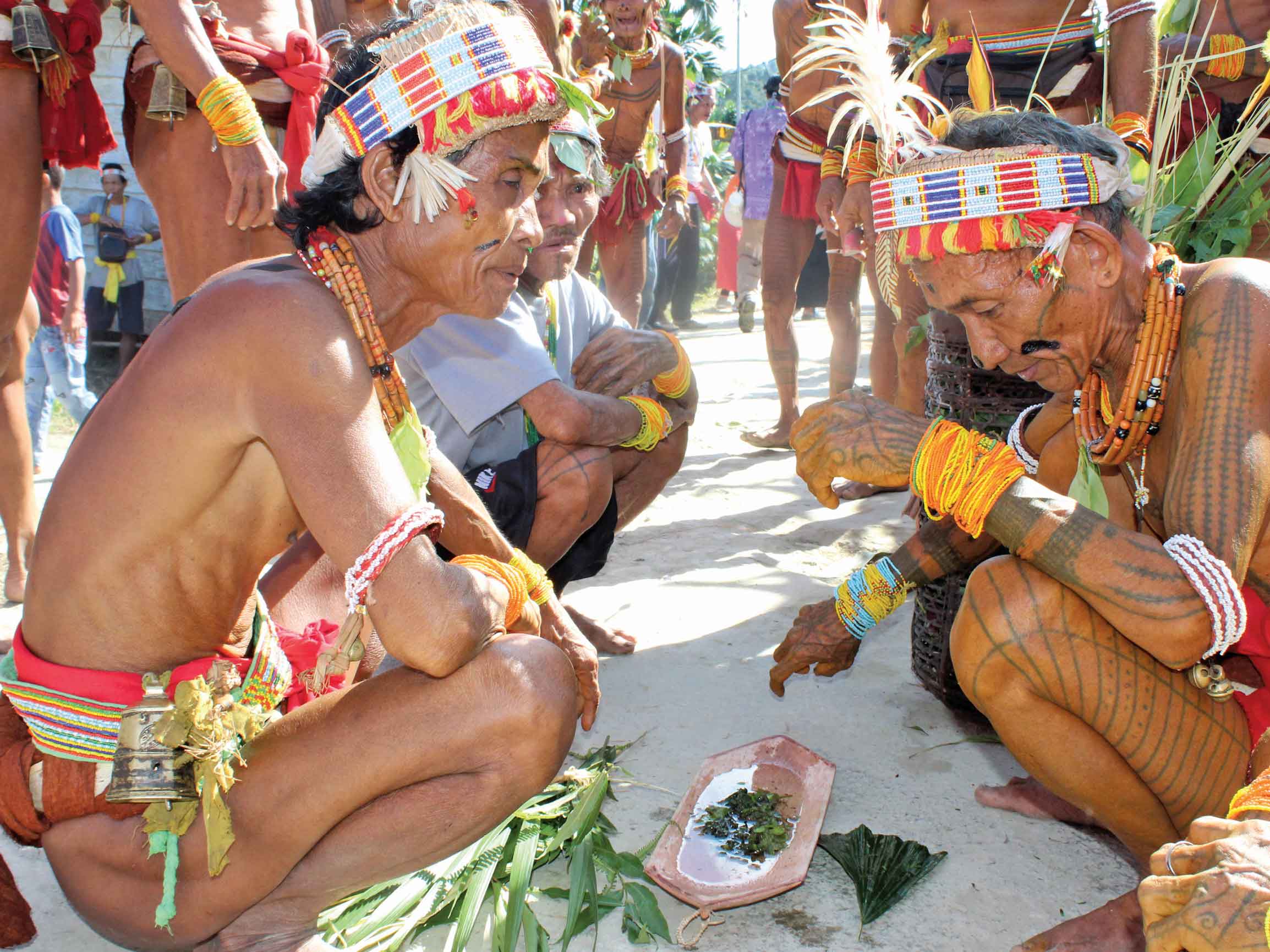 Sikerei membaca mantra.