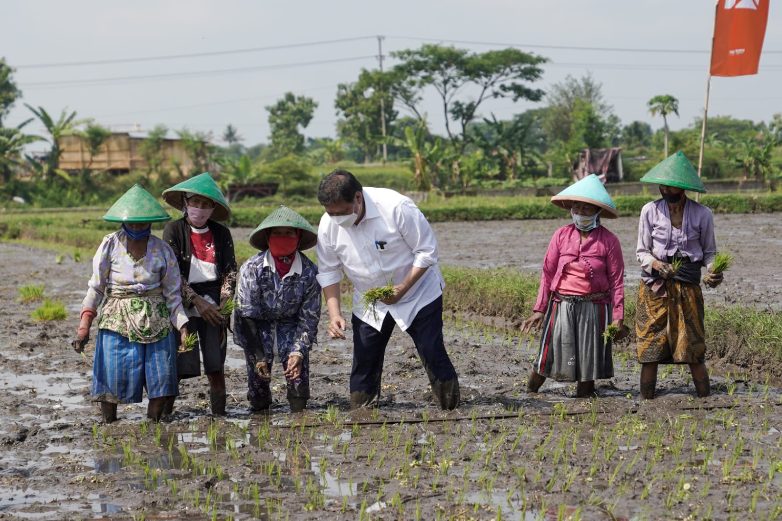 Menko Perekonomian Airlangga Hartarto turun ke sawah sambil berdialog dengan petani.