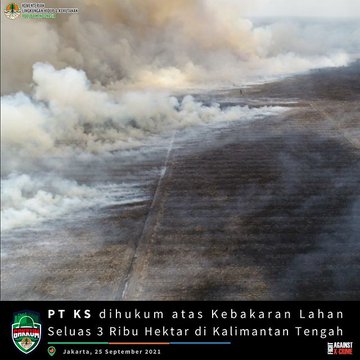 Lokasi karhutla di lahan konsesi PT Kumai Sentosa di Kalimantan Tengah.