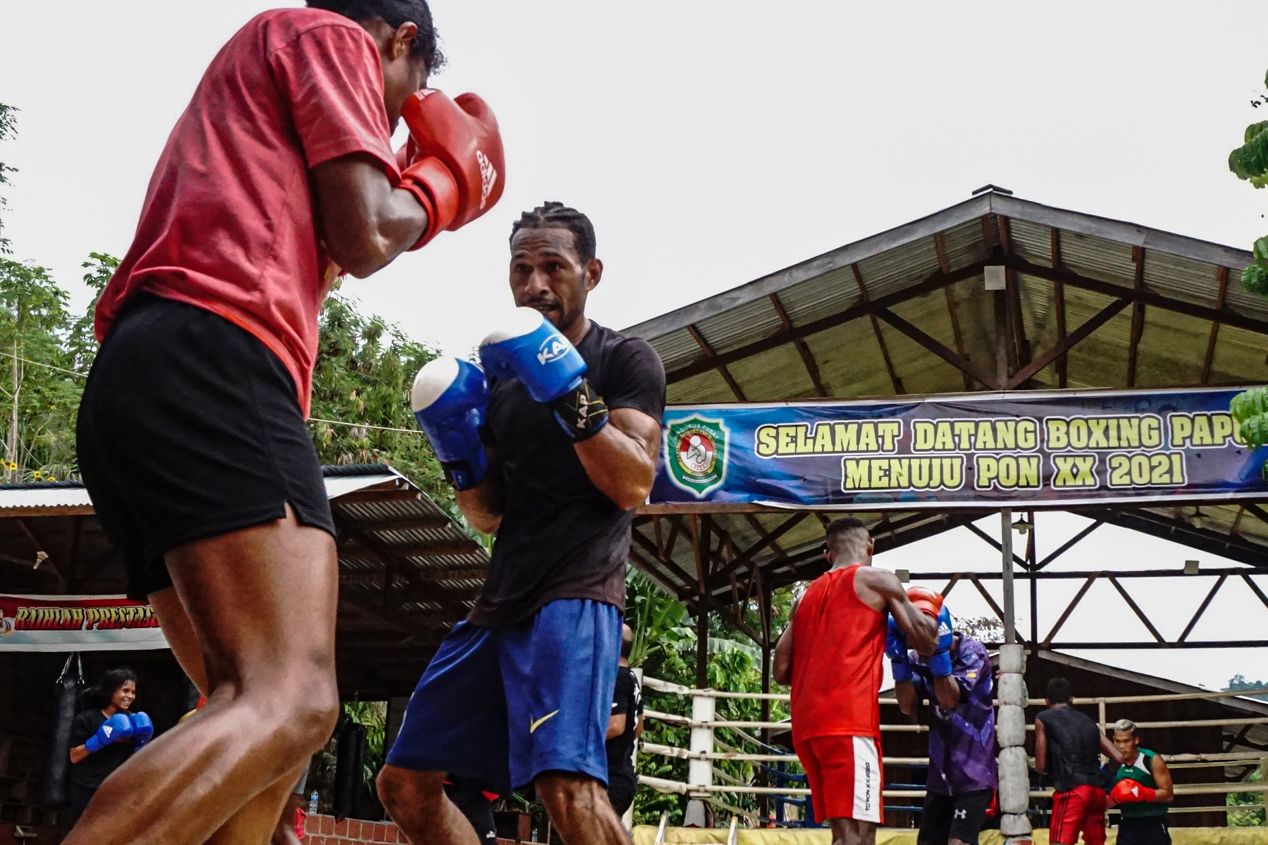  Sejumlah petinju Papua berlatih di Sasana Tinju Rebali, Padang Bulan, Kota Jayapura, Papua, Jumat (10/9).