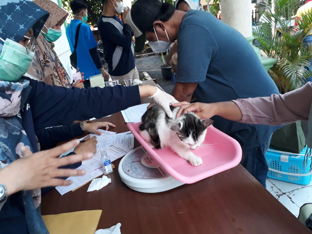 Pemerintah Kot Bekasi menggelar vaksinasi rabies gratis selama 12 hari untuk hewan peliharaan.
