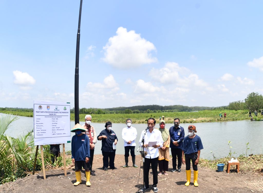 Presiden Jokowi, Menteri LHK Siti Nurbaya, dan Kepala BRGM Hartono melakukan penanaman mangrove di Cilacap, Jateng, Kamis (23/9).