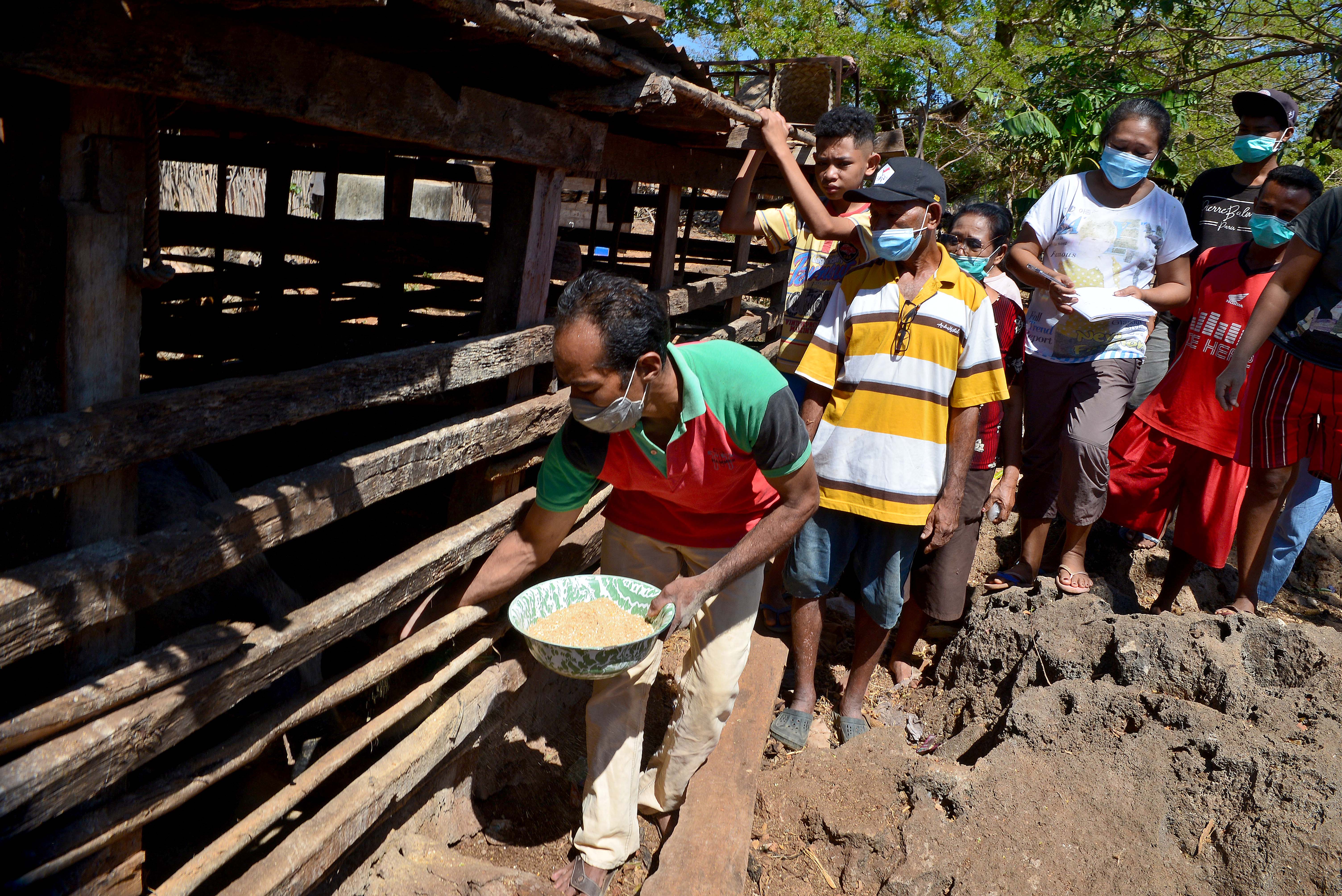  Anggota Geng Motor Imut bersama warga memberikan  pakan ternak babi di  Desa Letbaun di Pulau Semau, Kupang, Nusa Tenggara Timur (NTT). 