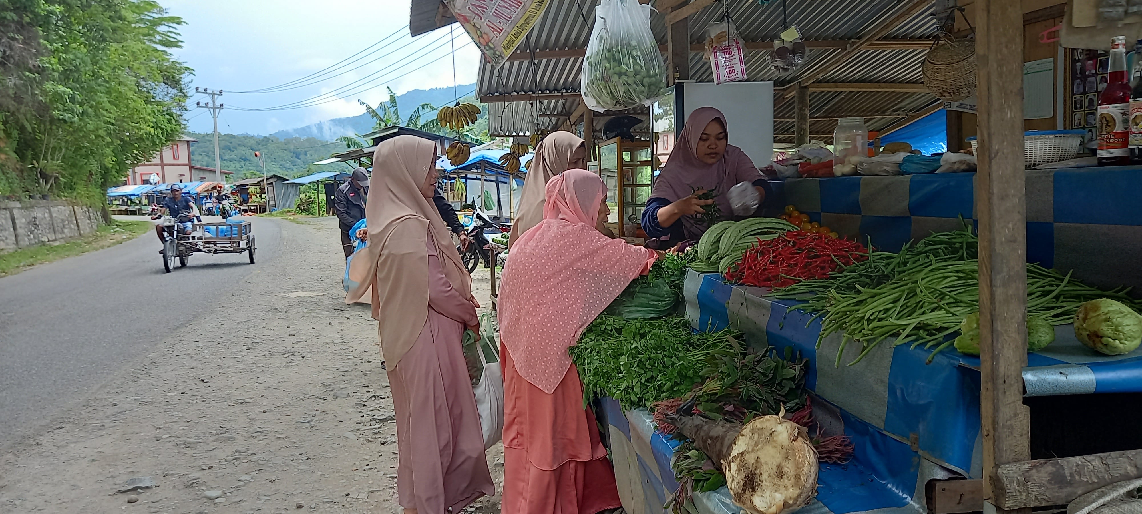 Petani Lokal Mulai Panen Harga Bawang Merah di Aceh Turun