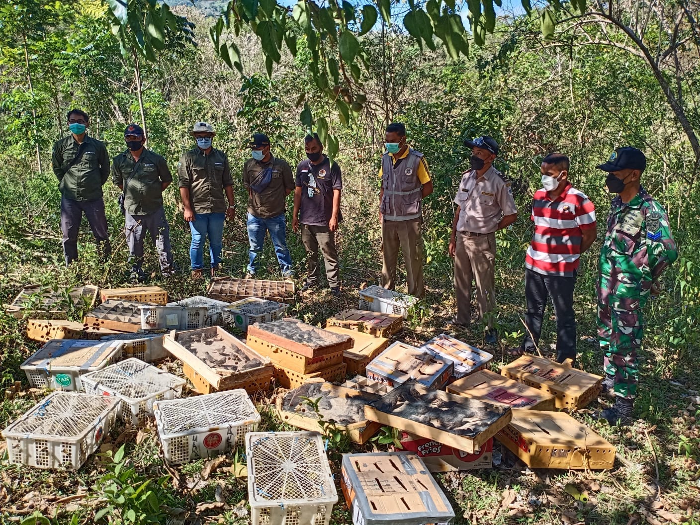 BBKSDA Nusa Tenggara Timur menyita 1.221 ekor burung liar melalui bandara dan pelabuhan laut di Kabupaten Ende sejak 1 September 2021