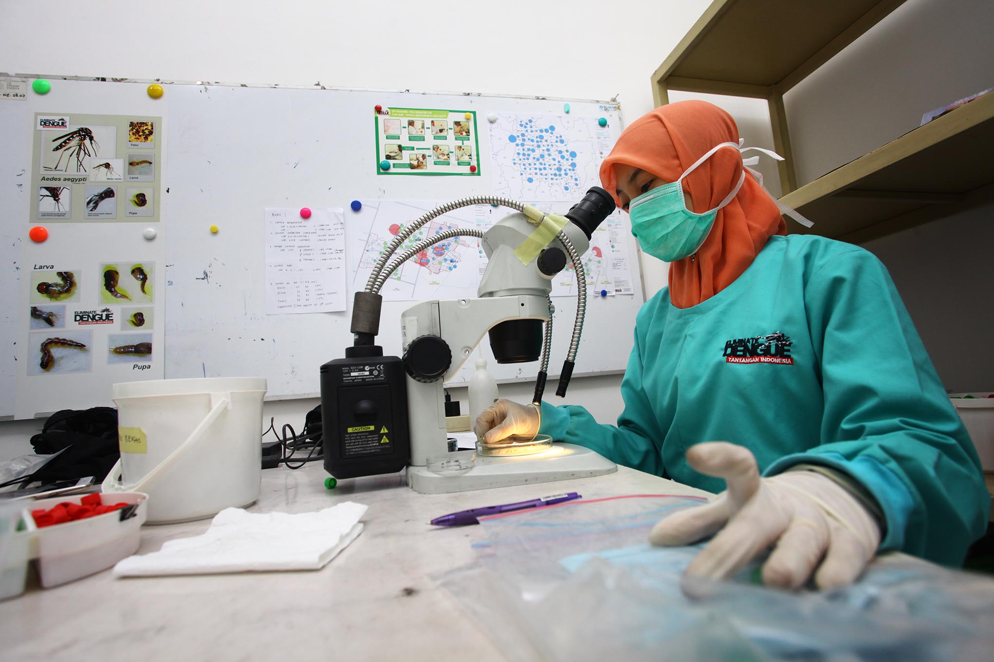 Teknologi wolbachia atasi DBD