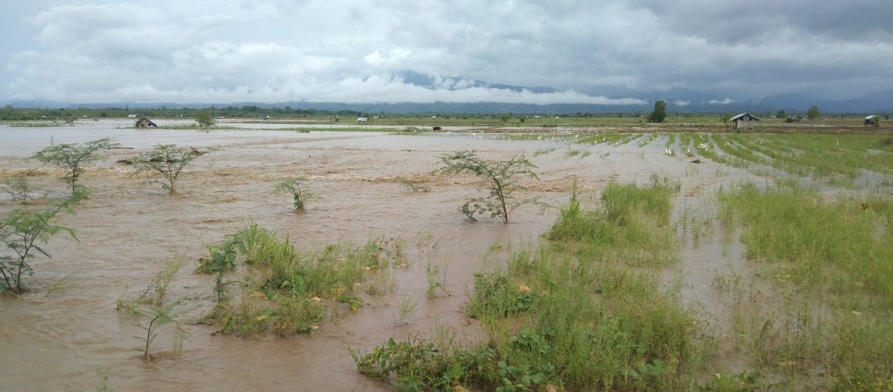 Areal persawahan terdampak banjir dan angin kencang di Kabupaten Buru, Maluku, Rabu (8/9/2021)