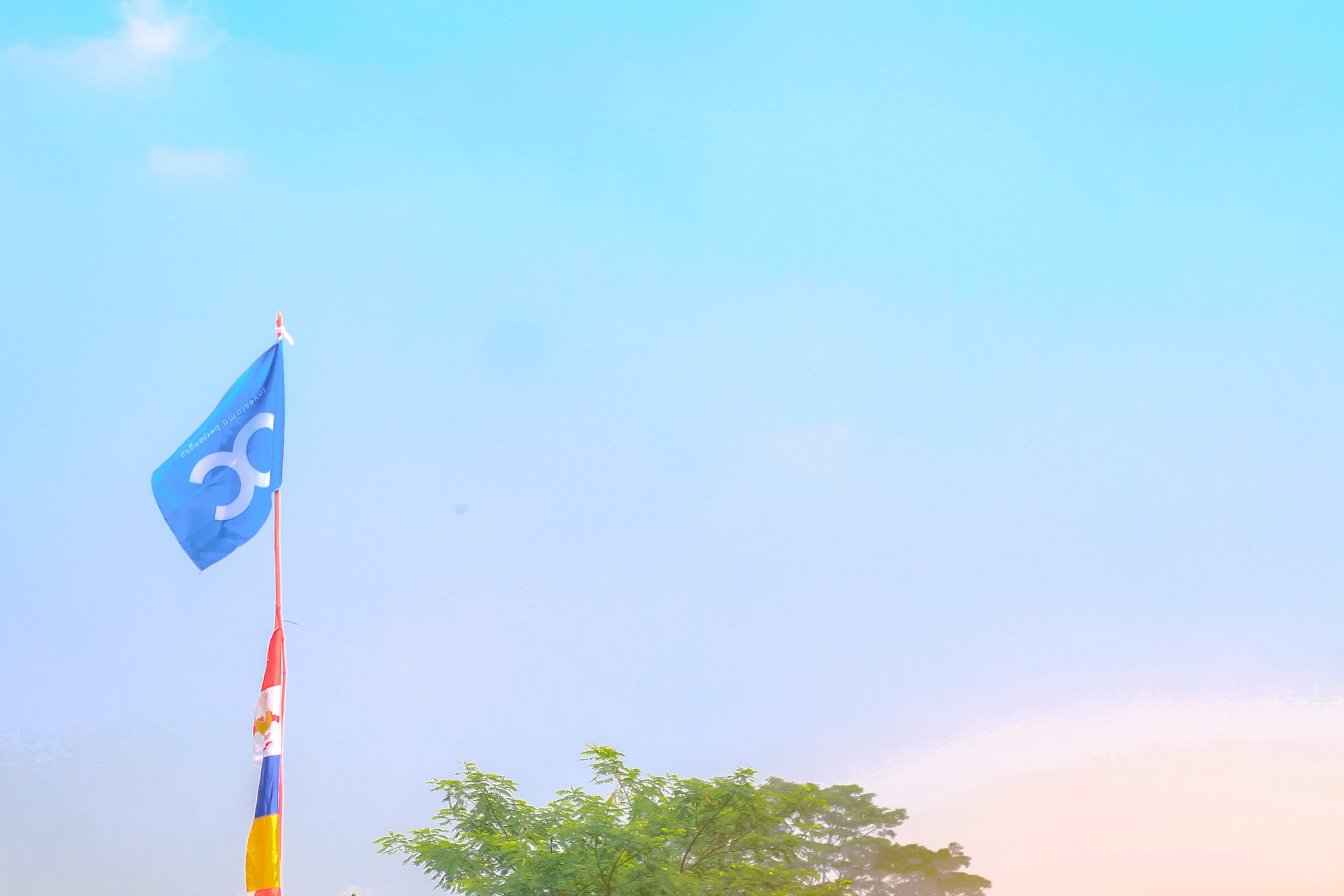 Logo Octa Investama Berjangka di ujung pinang.