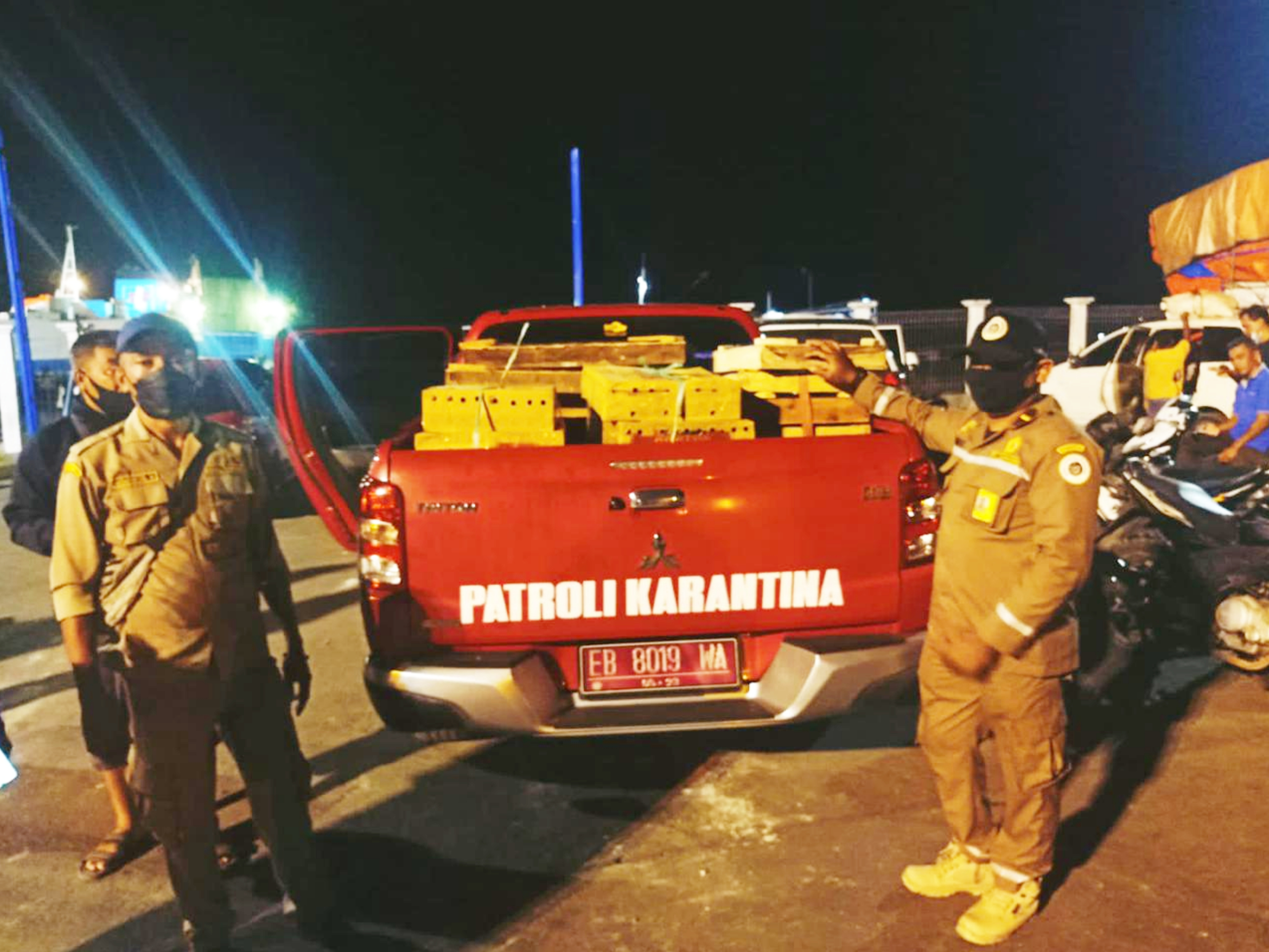 Petugas Stasiun Karantina Pertanian Kelas II Ende, NTT menggagalkan upaya penyelundupan ribuan burung, Kamis (2/9). 