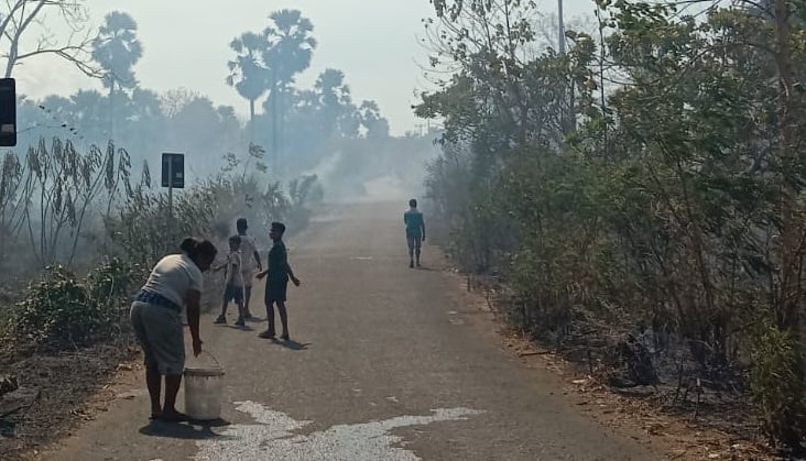 Kebakaran lahan dan hutan di Ile Ape, Lembata, NTT. 