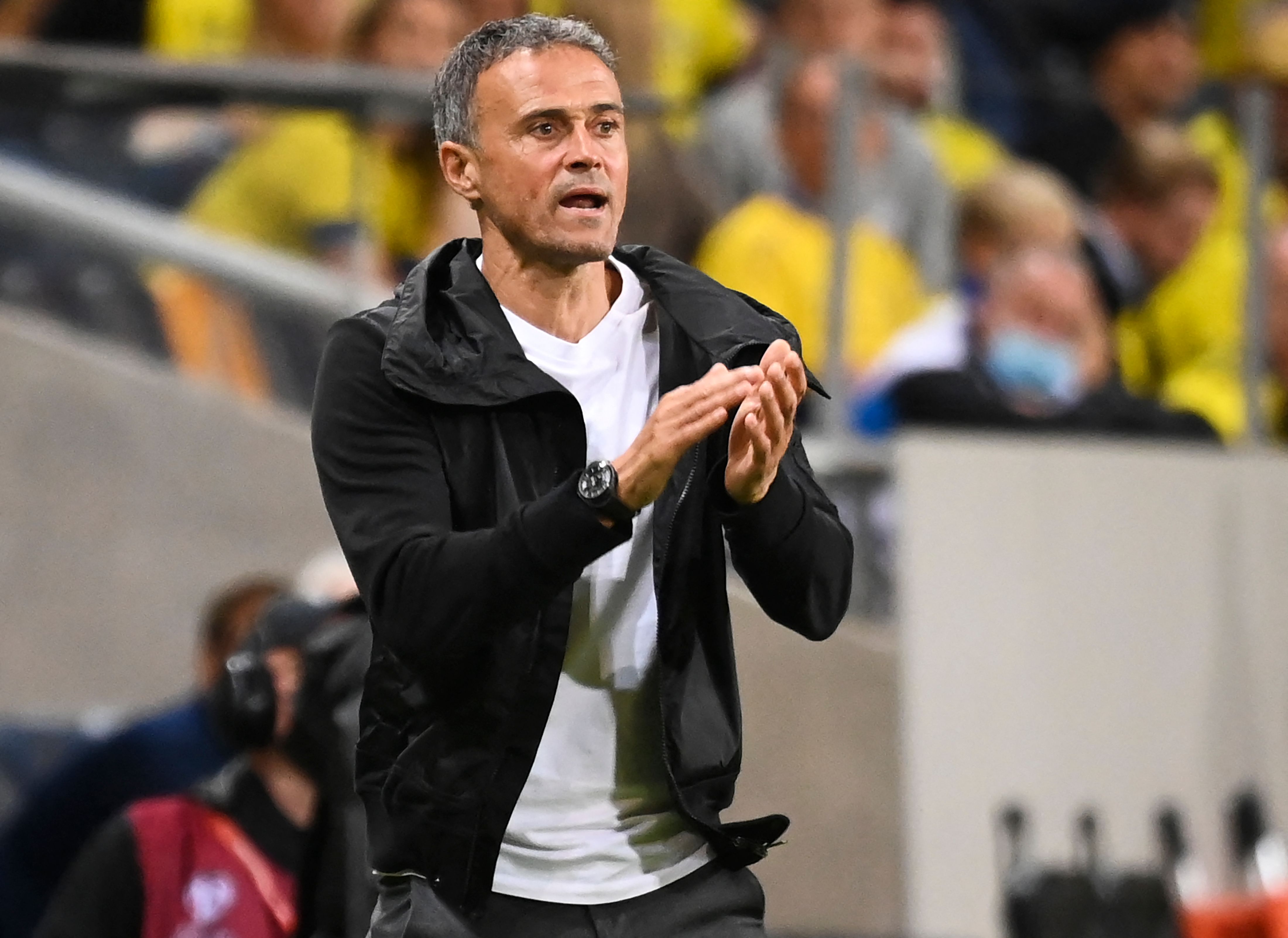 Pelatih timnas Spanyol Luis Enrique