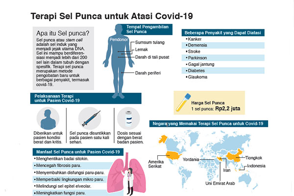Terapi Sel Punca Covid-19 Lolos Fase 3, RSCM Ajukan EUA ke Badan POM 