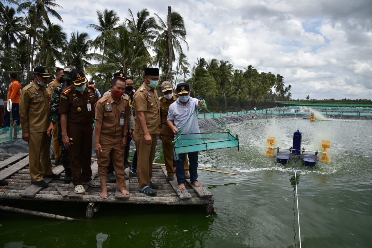 Gubernur Kalteng H. Sugianto Sabran saat melihat tambak udang, di Kabupaten Sukamara.