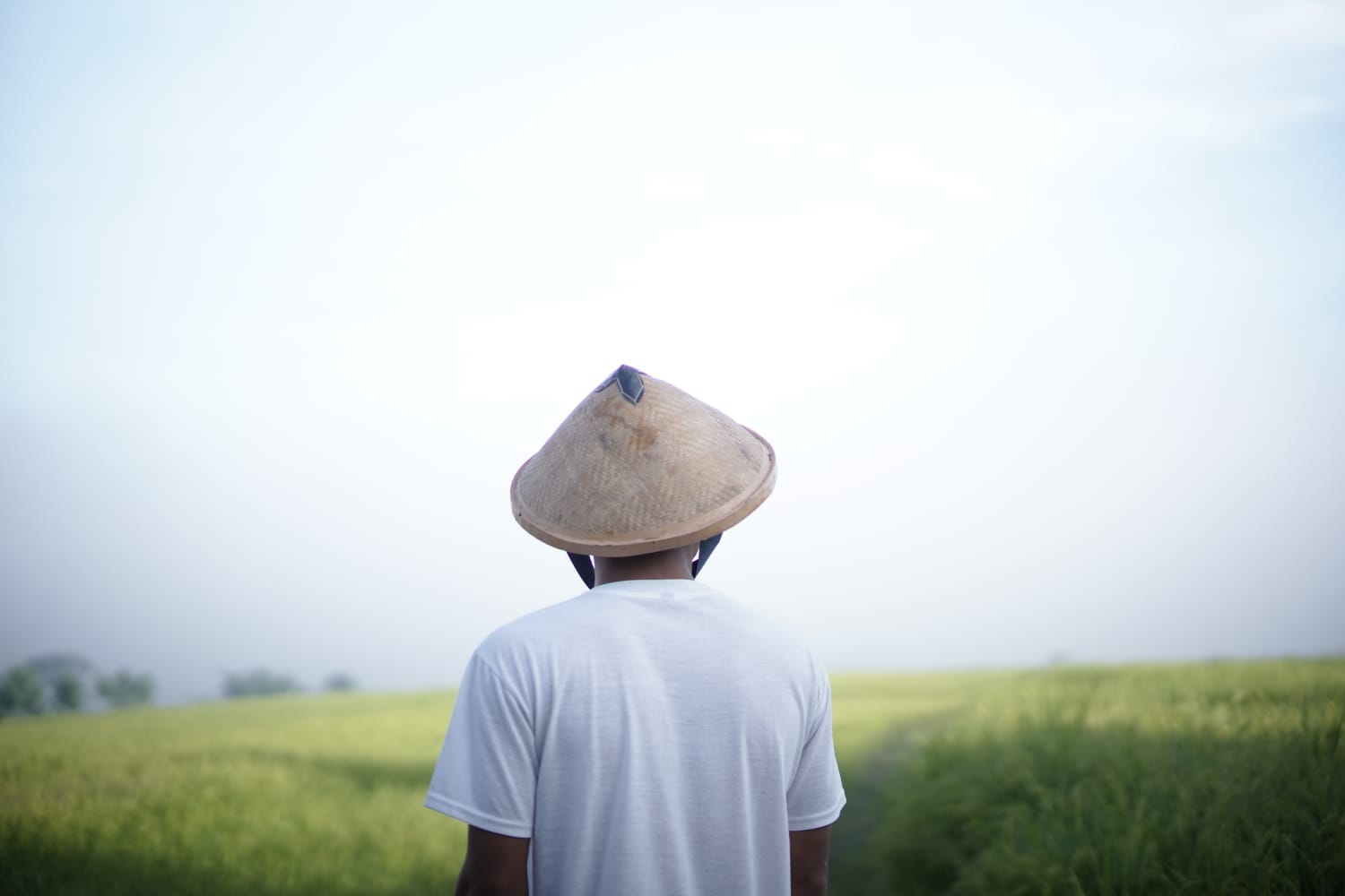 Bertepatan dengan Hari Tani Nasional, UMKM Dari Bumi diluncurkan.