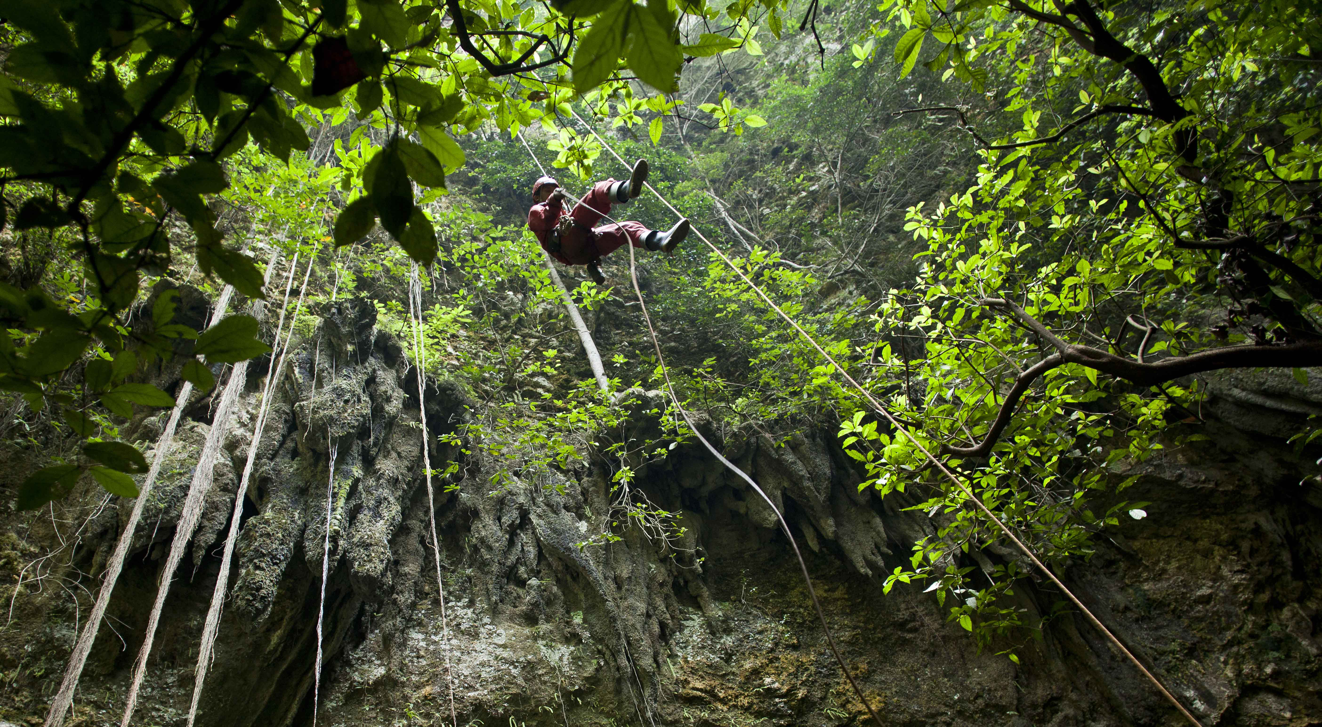 PENGURANGAN EMISI: Mencari celah karbon lokal.  Pesona di Luweng Jomblang, Semanu, Gunung Kidul.