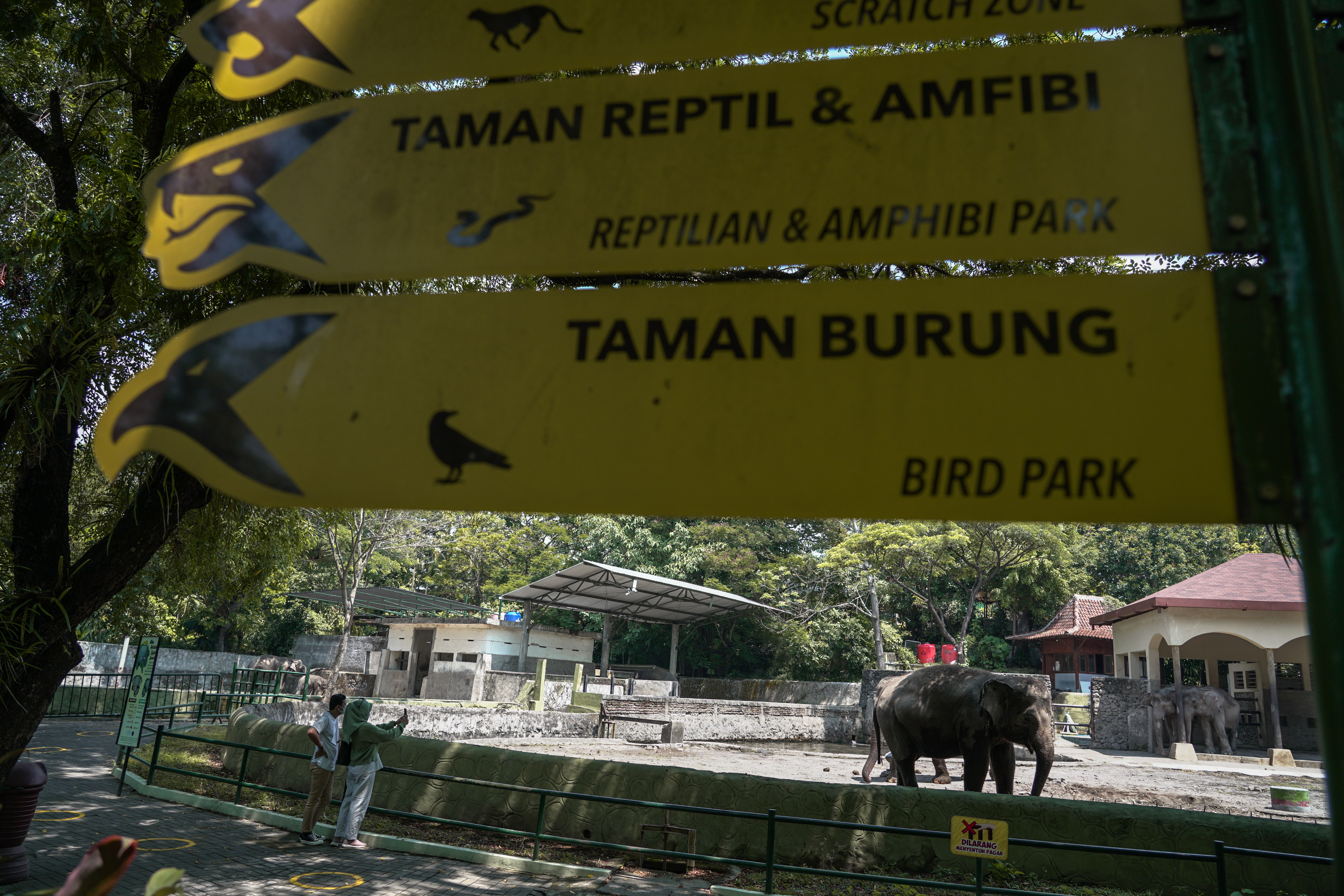 Wisatawan mengunjungi kawasan Gembira Loka Zoo di Umbulharjo, Yogyakarta, Kamis (16/9/2021)