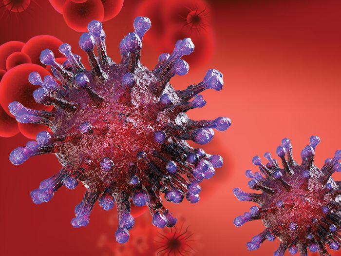 Ilustrasi: pembesaran virus korona