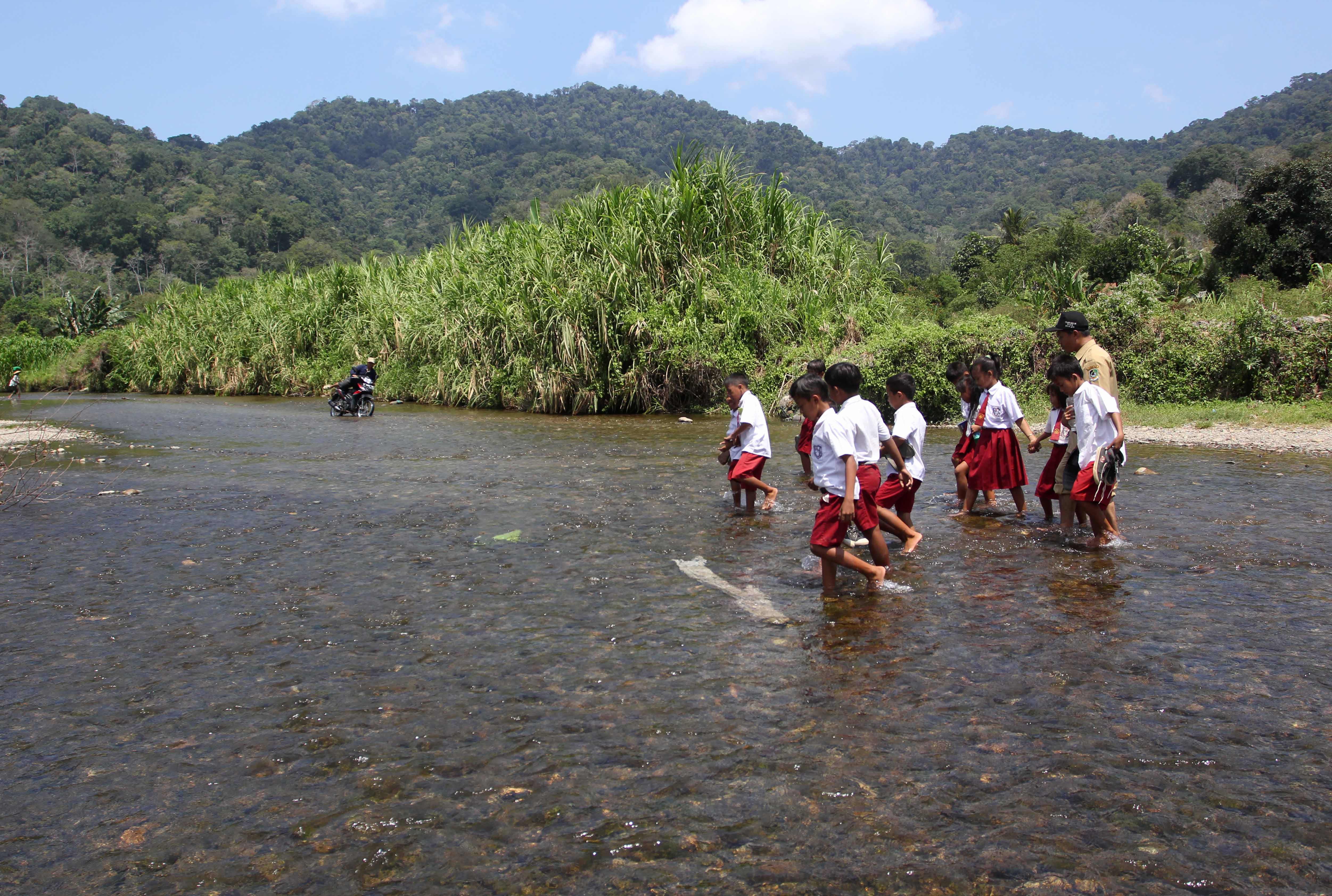 Sejumlah siswa SD melintasi sungai di Sukamade, Banyuwangi, Jawa Timur.