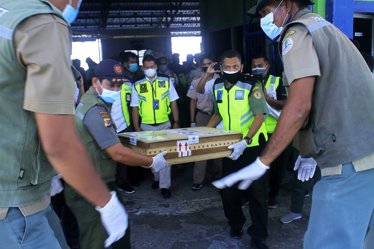 Petugas BBKSDA NTT)mengangkut 13 ekor kura-kura leher ular (Chelodina mccordi) ke mobil setelah tiba di Bandara El Tari Kupang, Kamis (23/9)