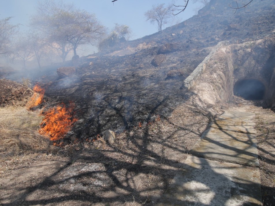 Kebakaran itu juga nyaris menghanguskan antena komunikasi yang juga berada puncak bukit di Situs Gua Jepang Rane. 