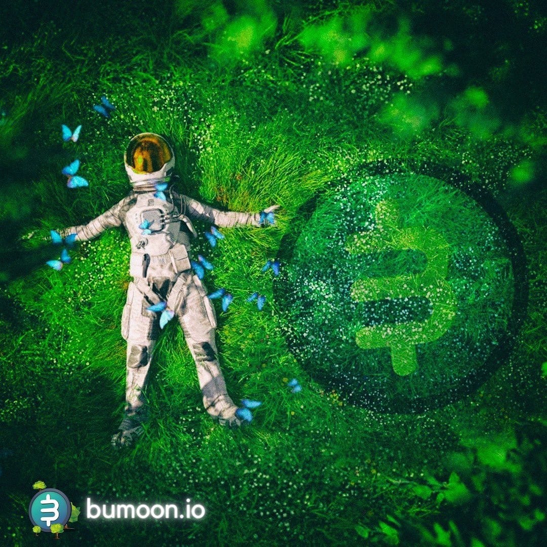 Bumoon.io Siap bantu Pemerintah Atasi Perubahan Iklim dengan Teknologi