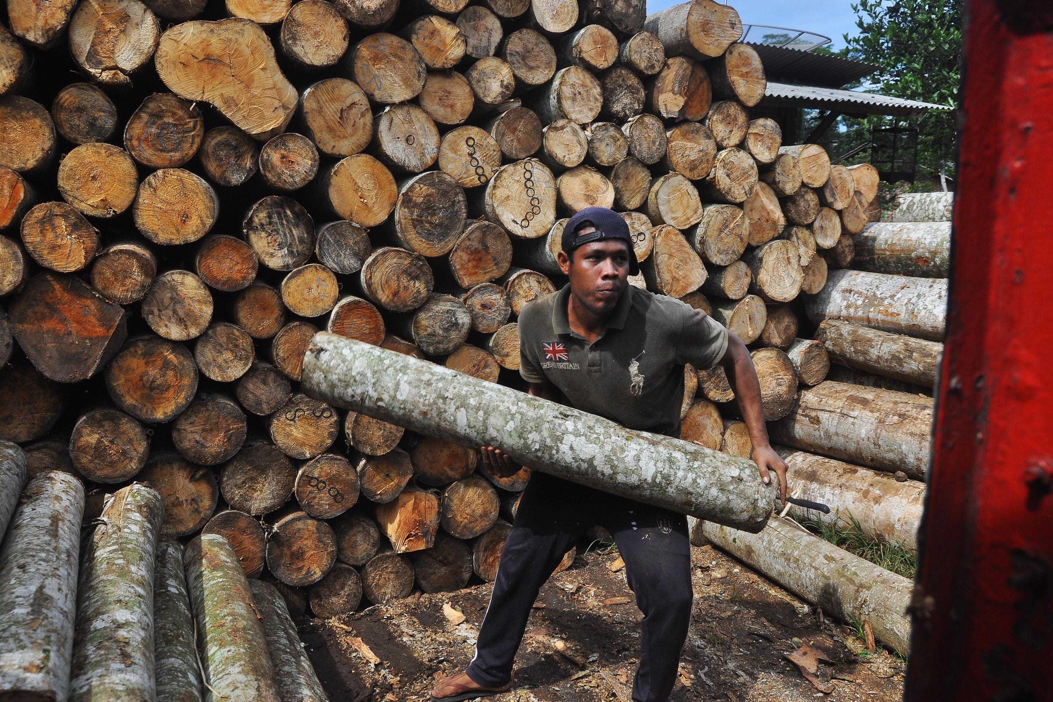 Pekerja menata potongan kayu Sengon atau Albasia di Desa Kalibanger, Temanggung, Jawa Tengah. Kayu adalah salah satu contoh benda padat.