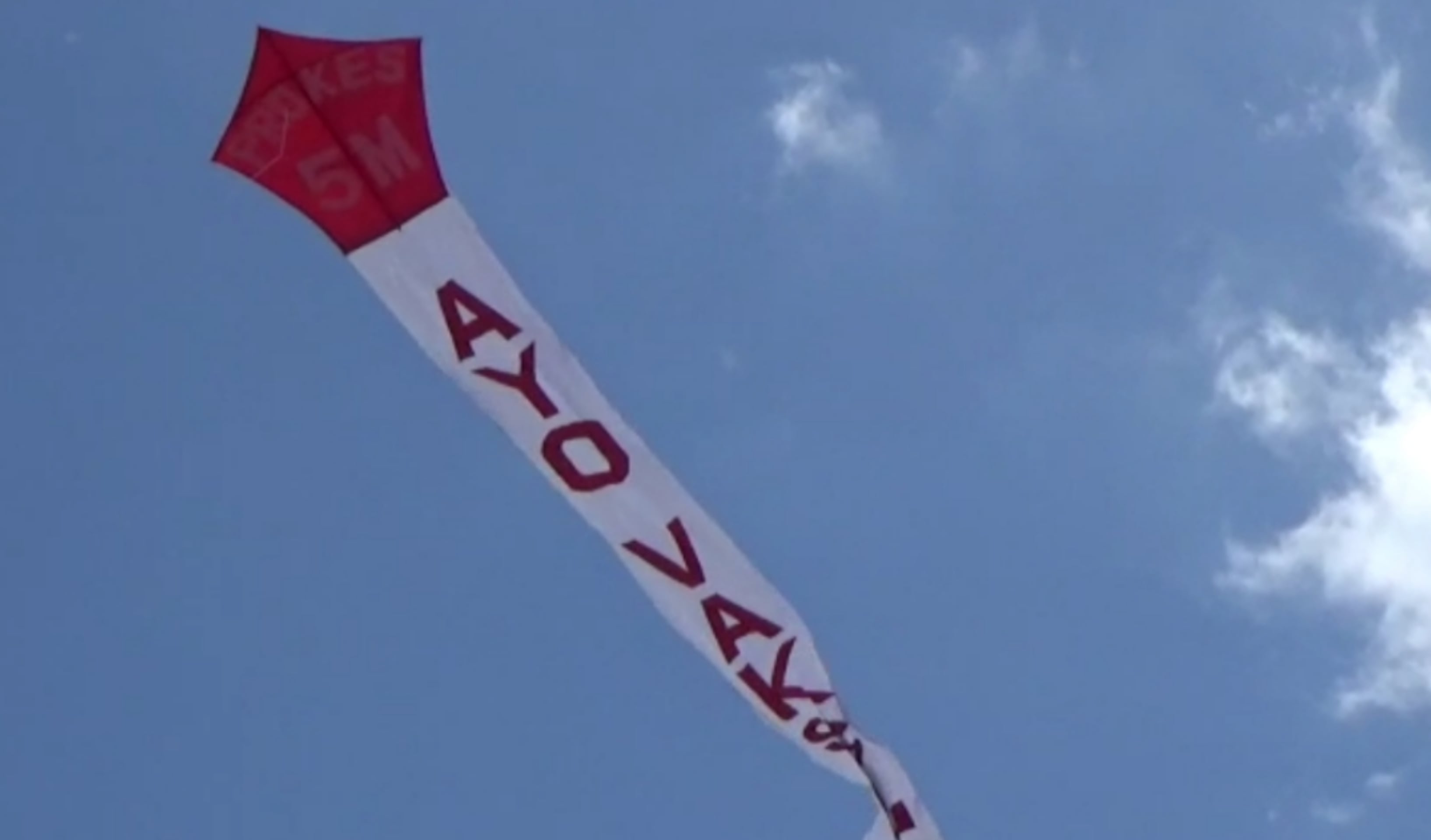 Layang-layang raksasa dikampanyekan sosialisasi vaksinansi dan 5M di Kabupaten Flores Timur, NTT.