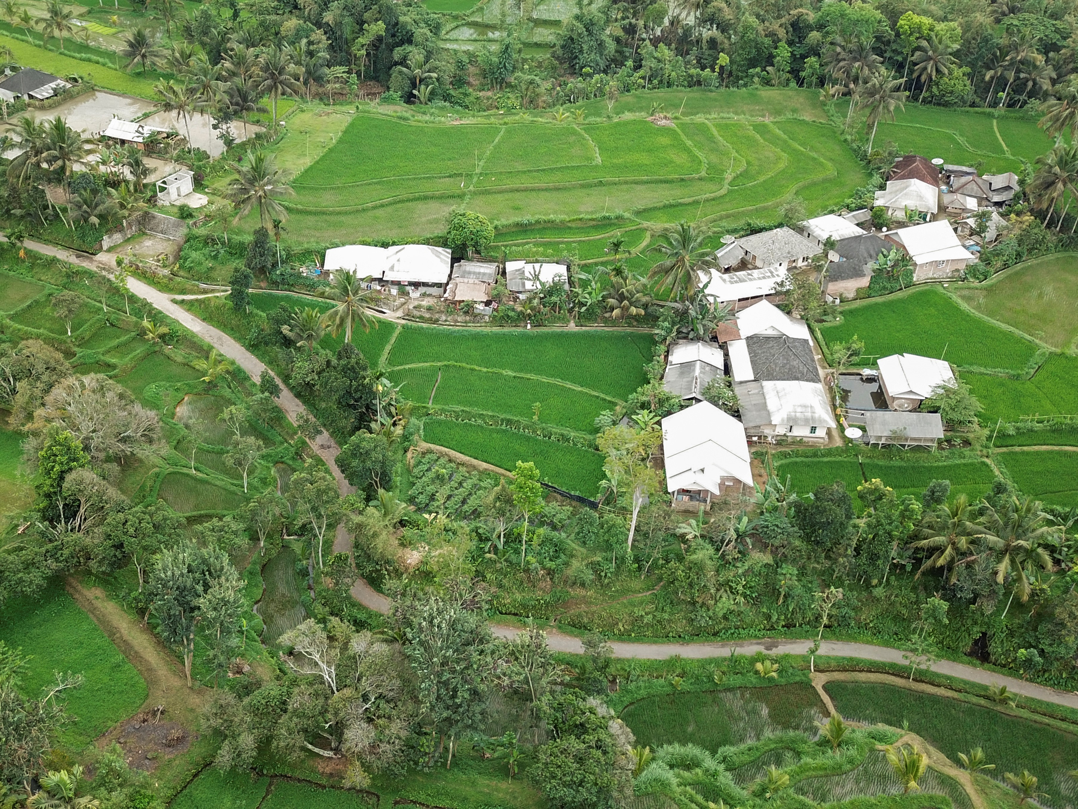 Foto udara suasana persawahan Desa Wisata Tetebatu di Kecamatan Sikur, Lombok Timur, NTB, Rabu (8/9).