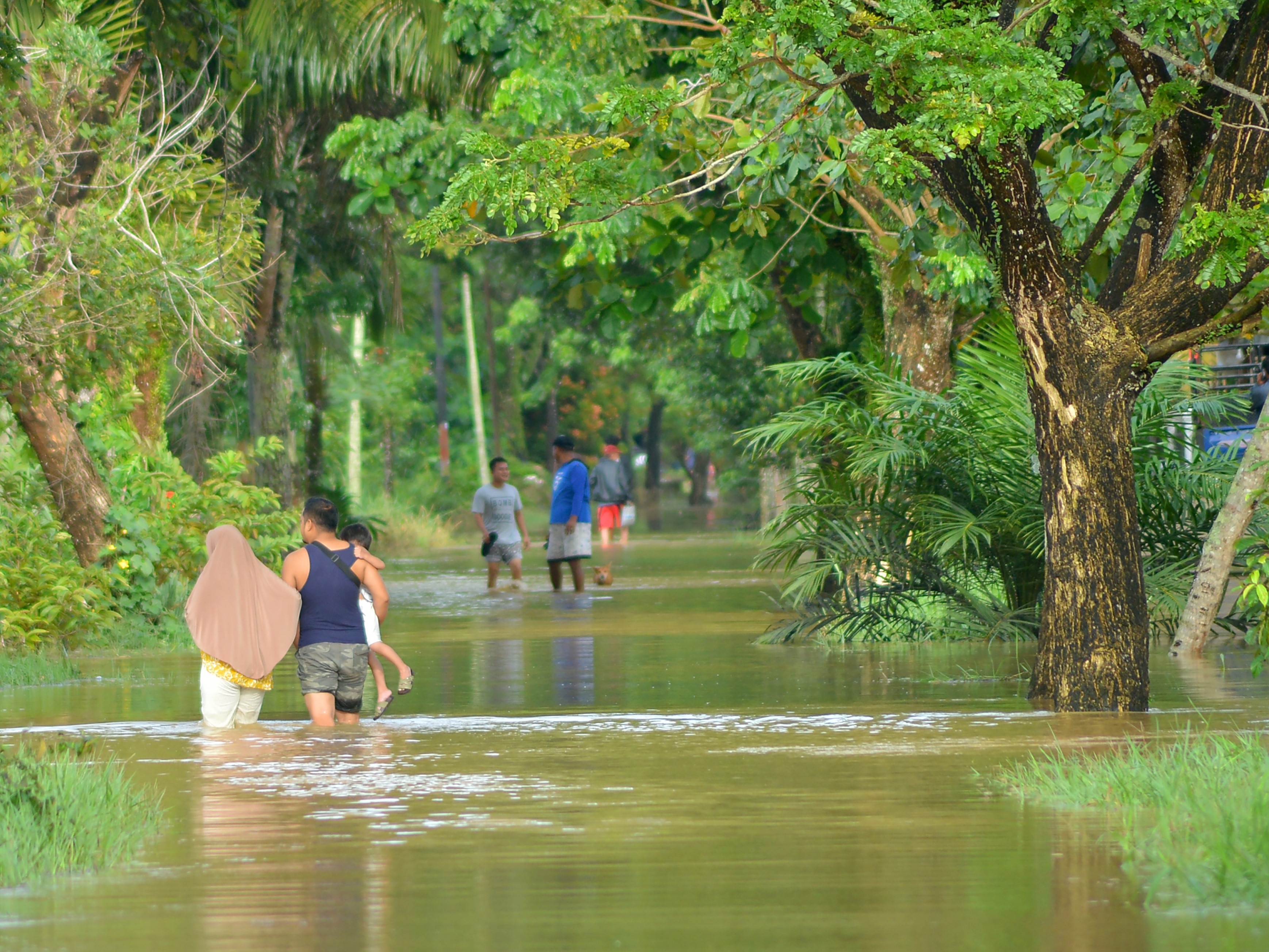Hujan Lebat, Padang Dilanda Banjir dan Longsor