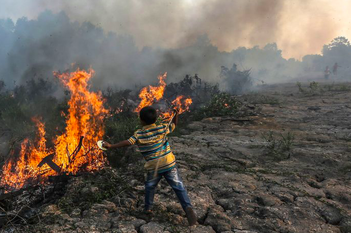 Seorang anak beursaha memadamkan kebakaran lahan dengan alat seadanya di Desa Kayu Arehh, Sumatera Selatan.