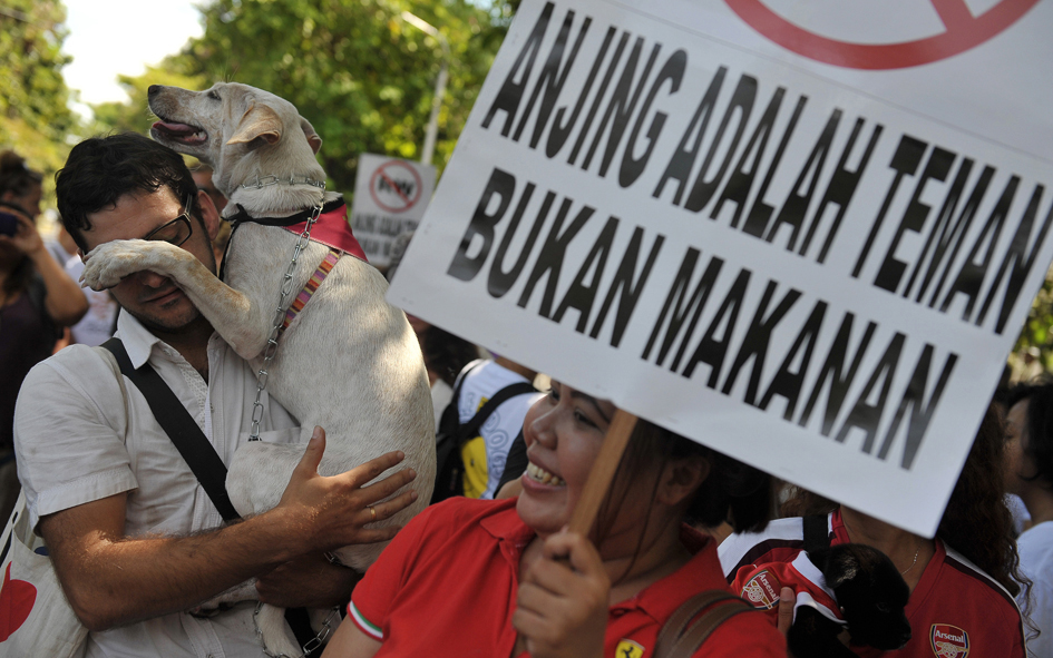 Kampanye anti perdagangan daging anjing
