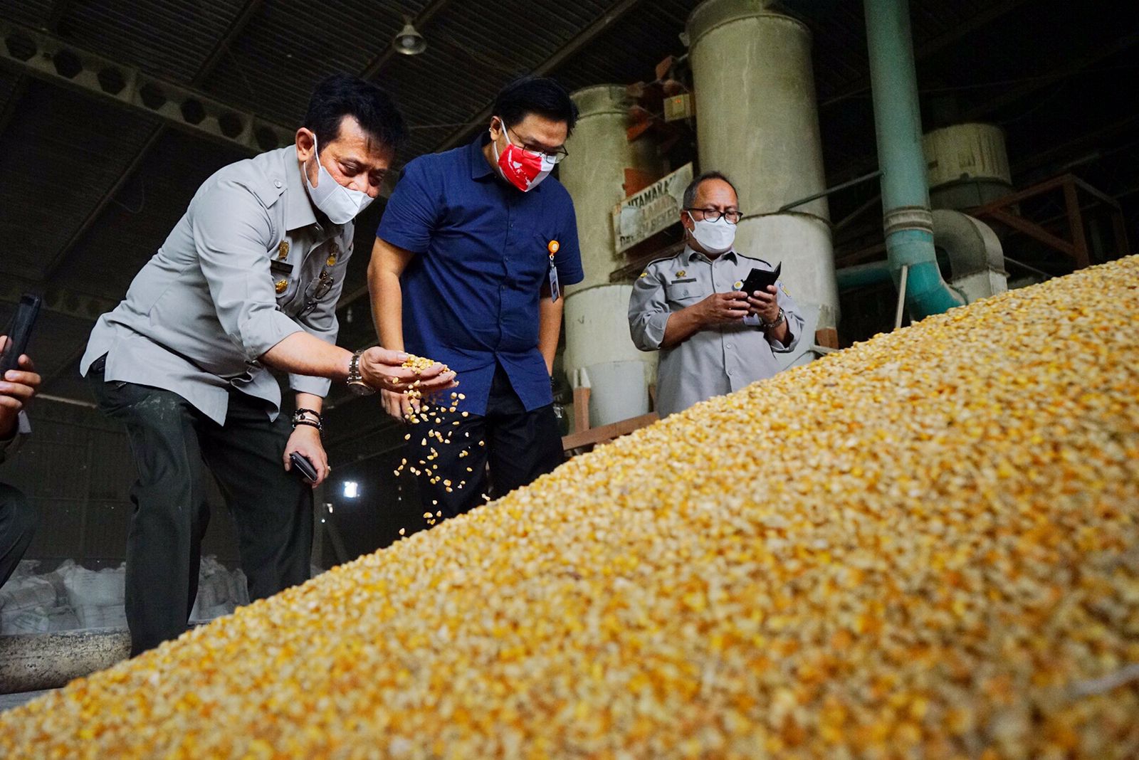 Tepis Isu Jagung Langka, Mentan Cek Stok Jagung Pabrik Pakan
