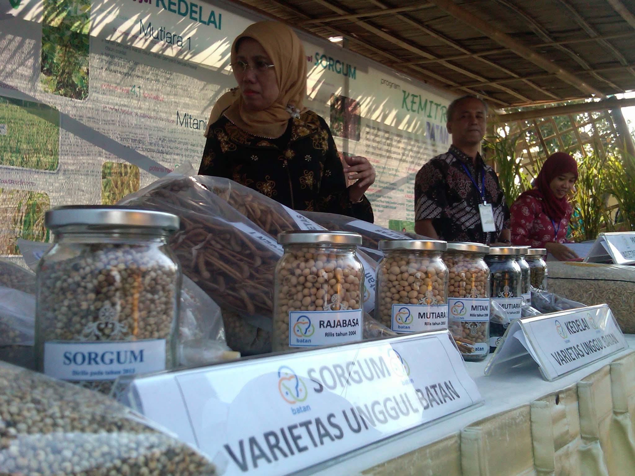 BENIH UNGGUL: Beberapa benih unggul hasil riset Badan Tenaga Nuklir Nasional (BATAN) akan membantu peningkatan produksi pangan.