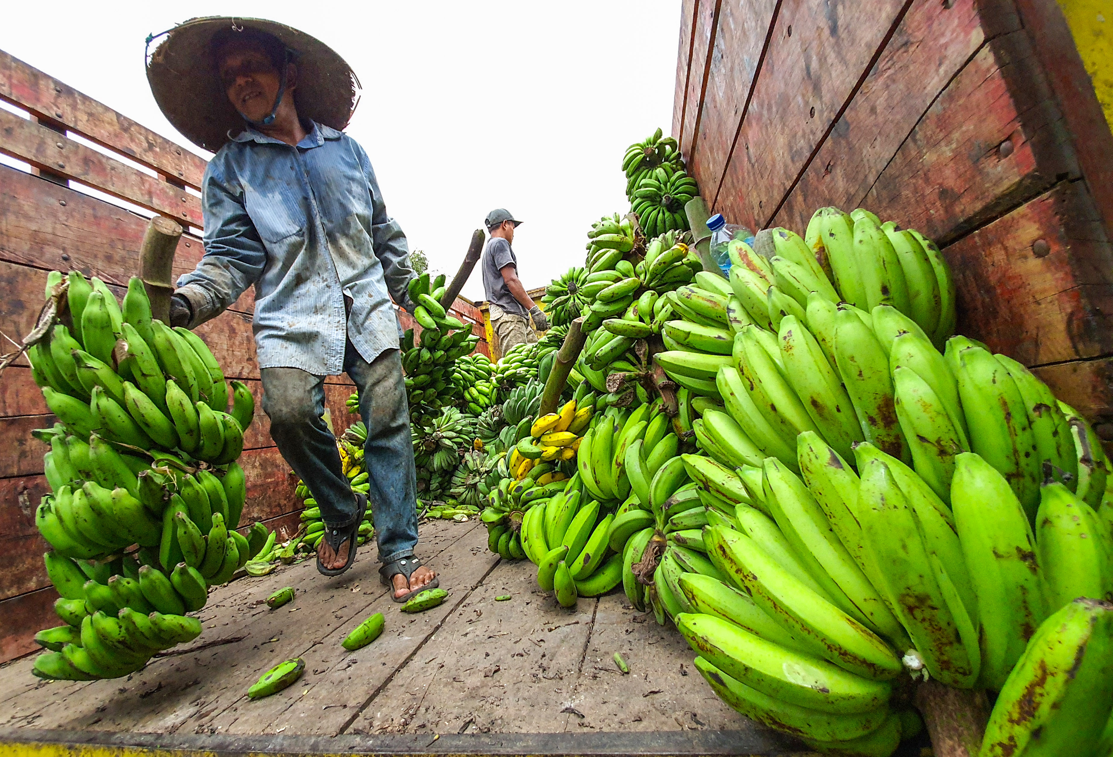 Aktivitas pedagang mengangkat pisang di Pasar Kebayoran Lama, Jakarta.