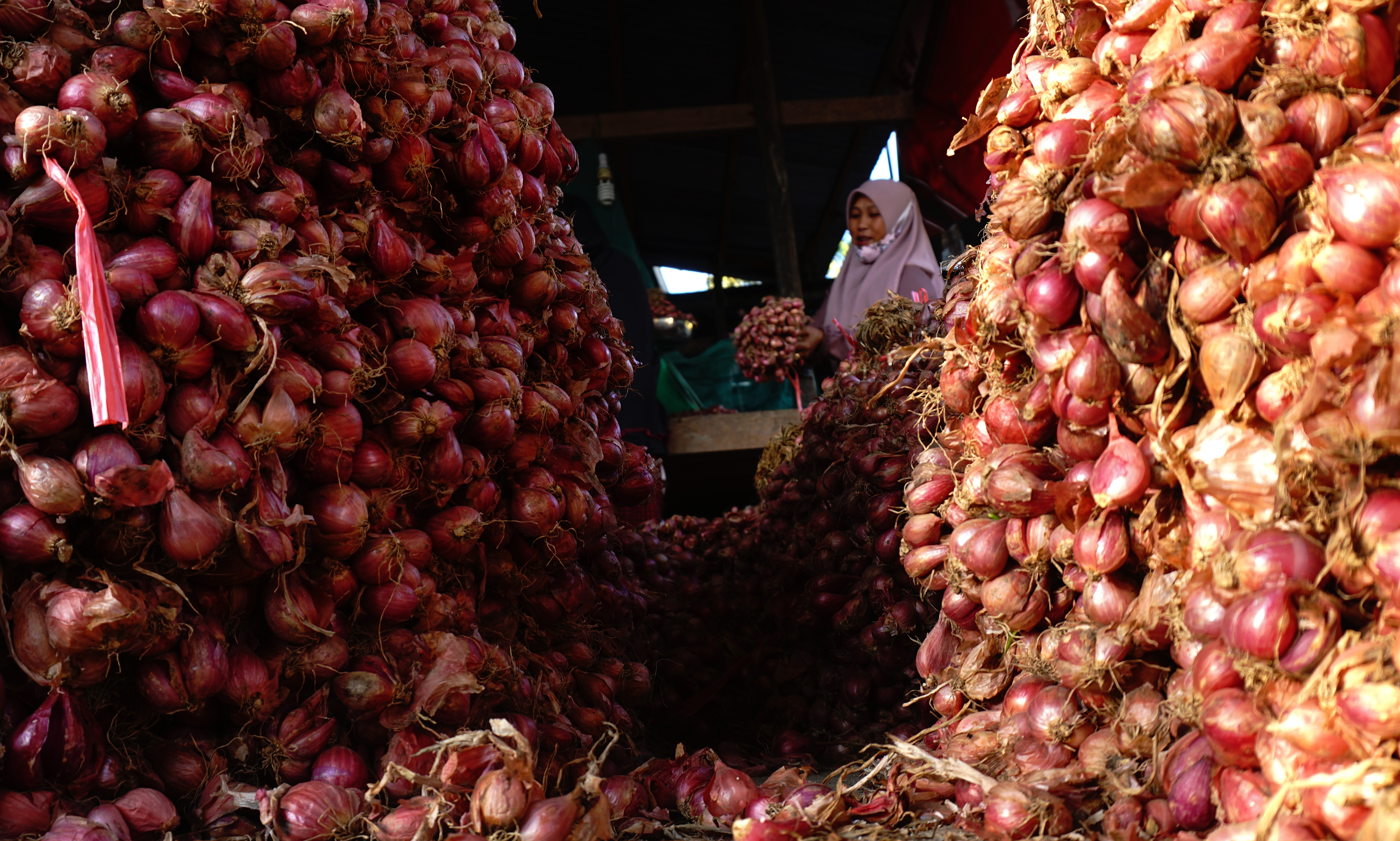 Ilustrasi: Puluhan ton bawang merah terancam busuk di Kupang, NTT tidak terangkut karena KM Sirimau dijadikan isoter Covid-19.