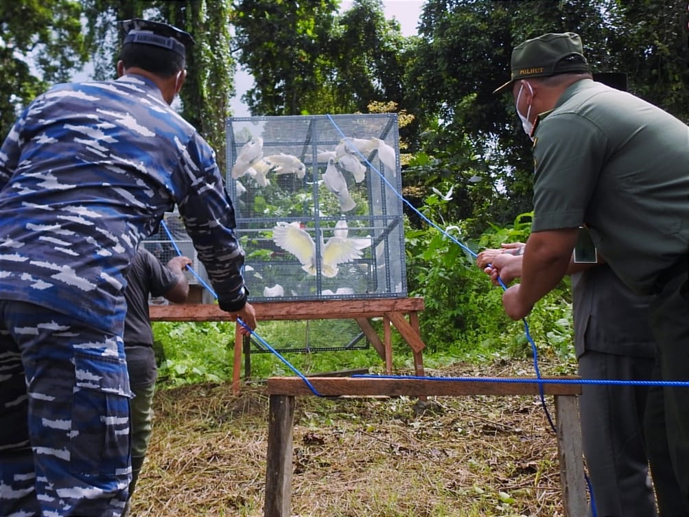 Kepala Staf Koarmada III TNI AL Laksamana Pertama TNI Yeheskiel Katiandagho dan Plt. Kepala BBKSDA Papua Barat Budi Mulyanto 