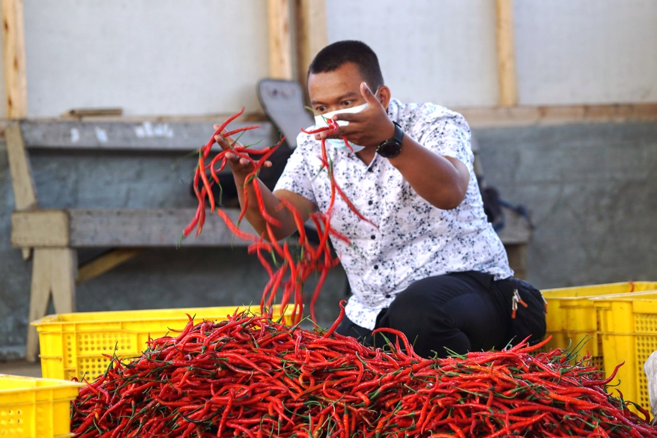 Bertani Itu Hebat, Menjadi Petani Itu Keren
